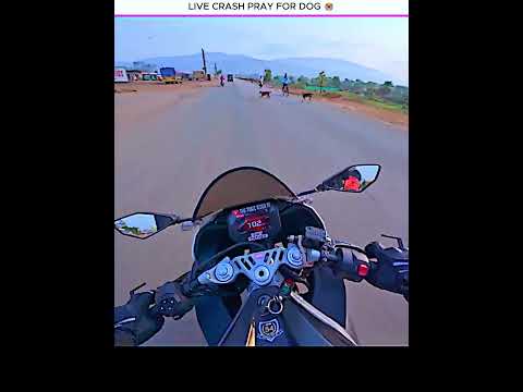 Live Crash Pray For Dog 🥺🥶#motovlog #viral #ytshorts #crash #dog #emotional #new #vlog #reels