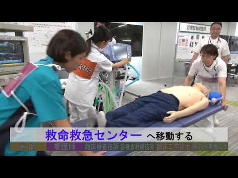 チーム医療【20190111版】