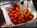 Bounty Commercial Littlest Ninja 3 19 93