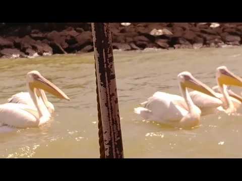 Hippos, Monks and Pelicans on Lake Tana | Cycling Cairo to Cape Town