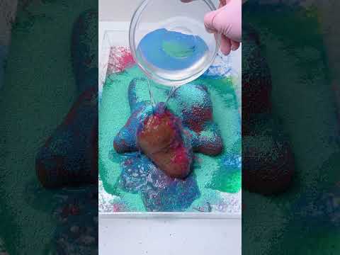 CLEANING SQUISHY ASMR💨💨Patrick Star#asmr