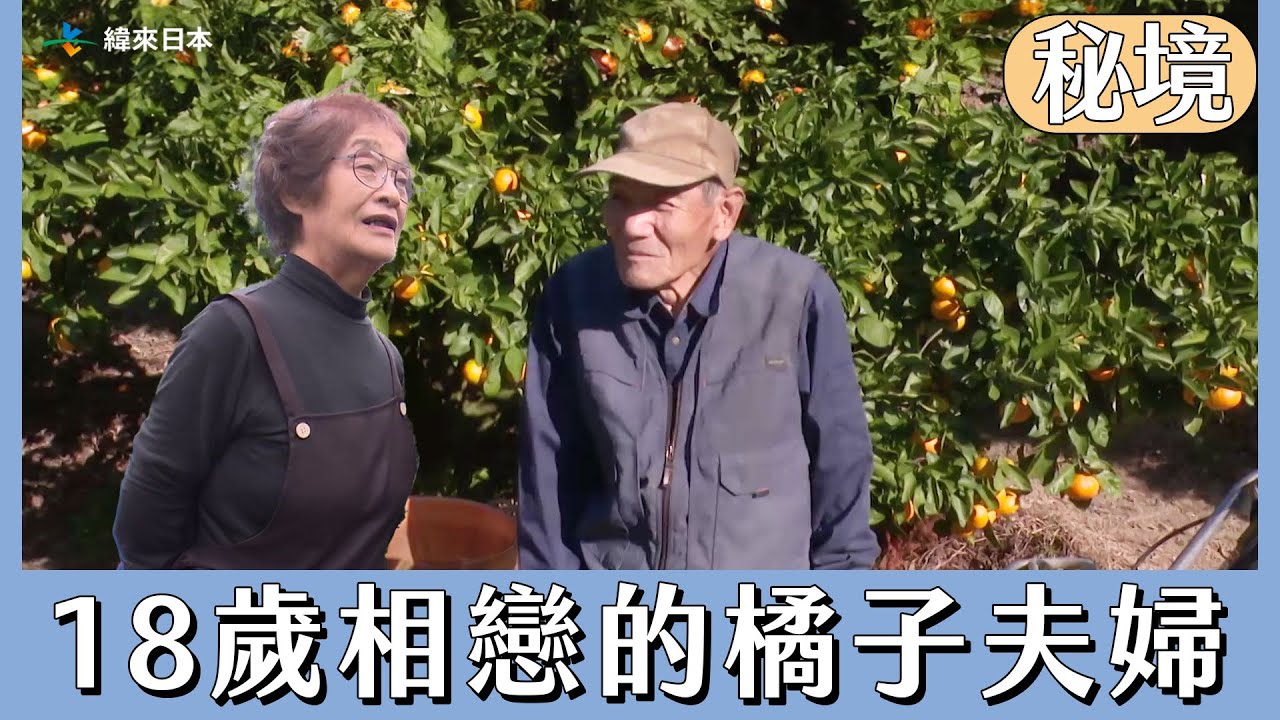 18歲就相戀的橘子夫婦【日本秘境有房好吃驚】｜緯來日本