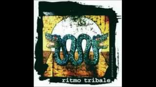 Ritmo Tribale -  ASSORBIMI