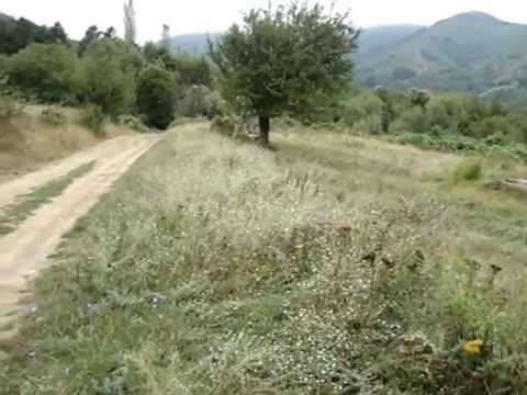 αγρόκτημα Φλώρινα -thumb-1