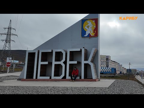 Caribou in Chukotka: The First Walk Through Modern Pevek