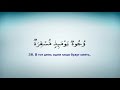 80 сура Абаса (Нахмурился) - Абу Бакр Аш-Шатри 