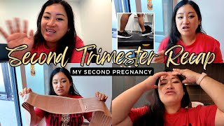 Second Trimester: What's REALLY Going On In There