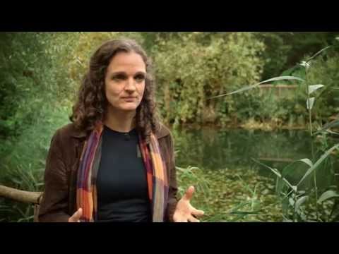 Video-Thumbnail von YouTube