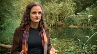 Video-Thumbnail von YouTube