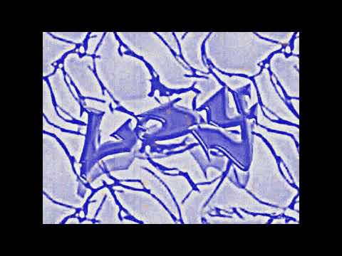 Dj LoY - Sesion Clandestina Vol.1