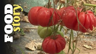 Thumbnail del capítulo