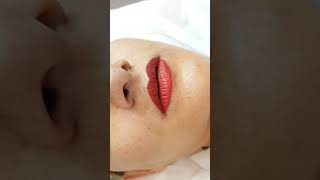 Lips Cosmetic Tattoo Permanent Makeup by El Truchan @ Perfect Definition