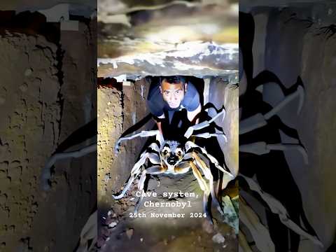 Mutated Spider Creature Found in Chernobyl Cave! #spider #creepy #scary #chernobyl