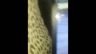 Head stab confirmed! (For SiN)