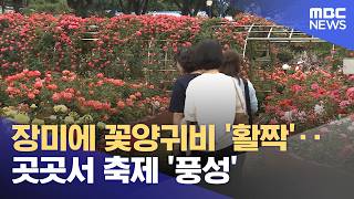 장미에 꽃양귀비 '활짝'‥곳곳서 축제 '풍성' (2026.05.04/뉴스투데이/MBC)