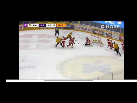 Maalikooste KalPa-Sport 11.12