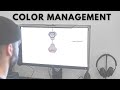 Color Management with Evan Parker