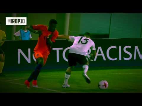 JAVAIRO DILROSUN - BRILIANT NUTMEG