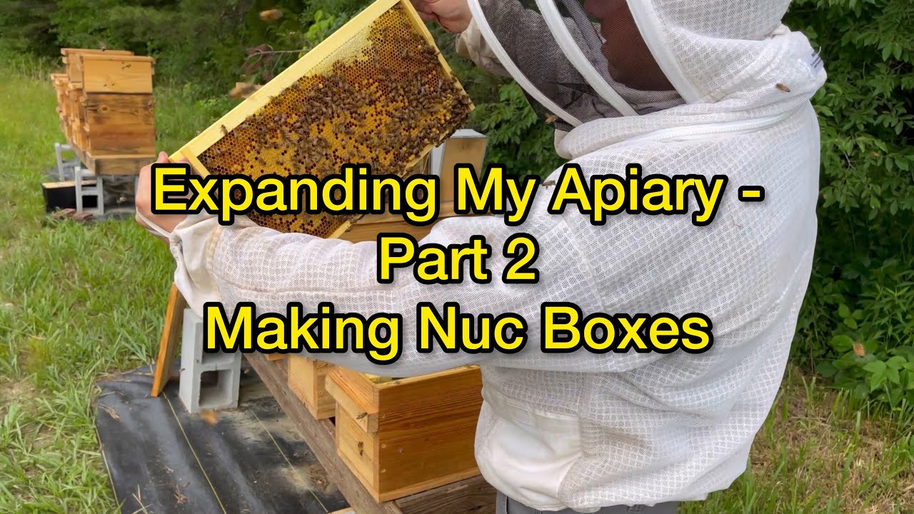 Expanding My Apiary - Part 2 - Making Nuc boxes
