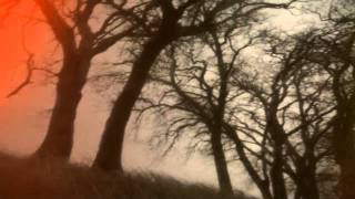 The Raveonettes - Apparitions