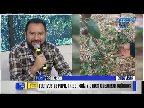 Intensa granizada afecta a municipio de Alalay y Totora en Cochabamba