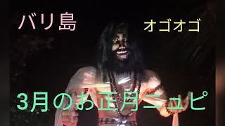 Bali バリ島ローカル　現地民の暮らし　毎年3月のニュピに行われているオゴオゴ　