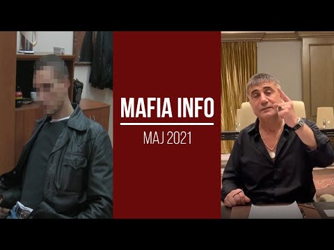 MAFIA INFO #05: "Ramzes" skazany/Gangster rozlicza polityków/Napad jak z filmu w Holandii