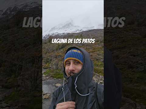 A Laguna de Los patos, no Parque torres del Paine