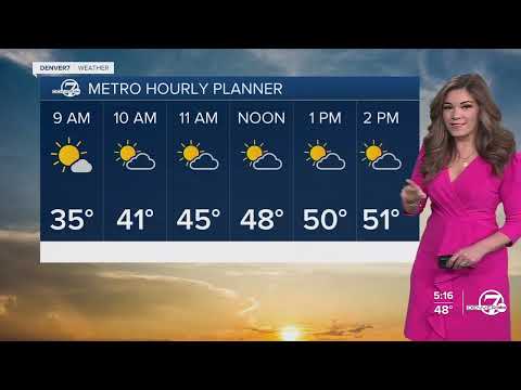 Danielle Grant 12 11 2024 Abc7
