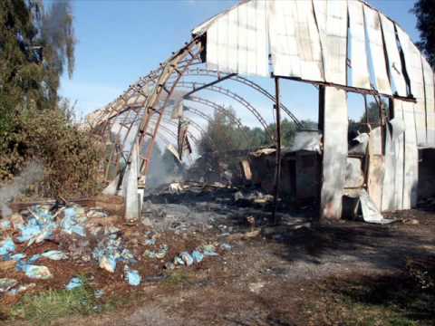 Sandis pied. Armija - Princips Pēc Gadījuma (prod. Cabbeats)