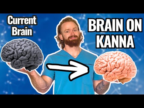 Kanna Supplement Review: Sceletium Tortuosum’s Effect on Cognition and Mood