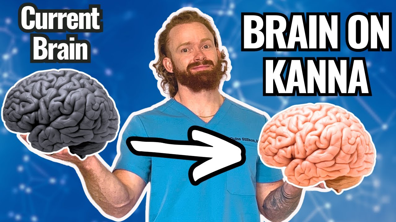 Kanna Supplement Review: Sceletium Tortuosumâs Effect on Cognition and Mood