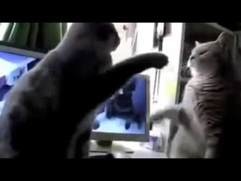 بازی زیبای " چام چام " ب زبان آلمانی