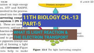 Class 11 Biology|Ch.-13 |Part-5||Light reaction and electron transport||Study with Farru