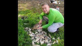 Отчеты о рыбалке в подмосковье на озернинском водохранилище