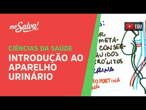 Me Salva! - SURI01 - Introdução ao Aparelho Urinário - Histologia Humana