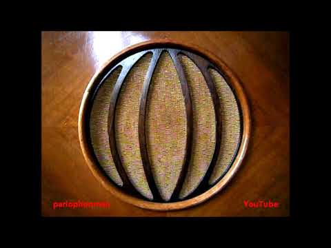 Dajos Bela Tanz-Orchester : Doin' The Raccoon !