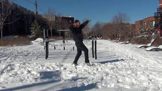 Free Shaolin Kungfu Tutorials: Shaolin 13 Claws Form - Phoenix (少林十三爪 之 凤展) 03