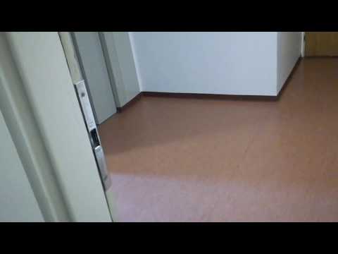 Tällä oli jonnet tehneet