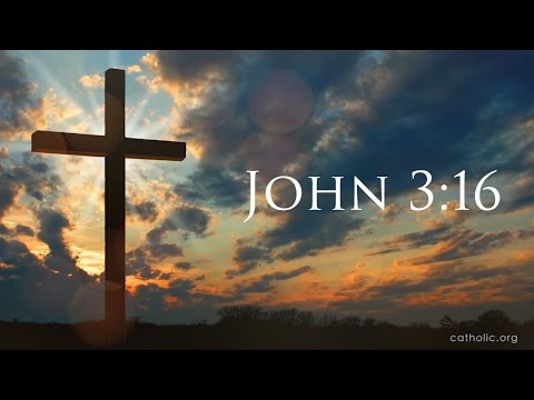 Click to Watch the Catholic charities collecting relief supplies for immigrants video