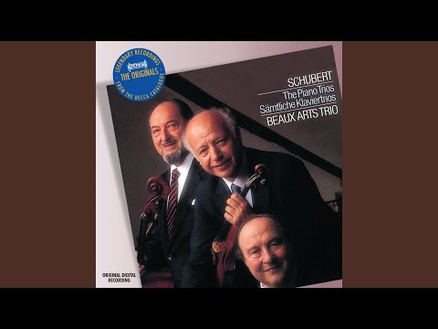 Schubert: Piano Trio No. 2 in E flat, Op. 100 D.929: 2. Andante con moto