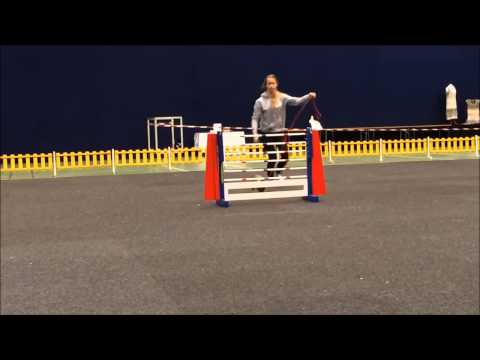 Hompetittens Ch Magic Words - 80cm, 6.plass