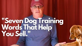 7 Persuasive Words That Dog Trainers Use To Make More Sales