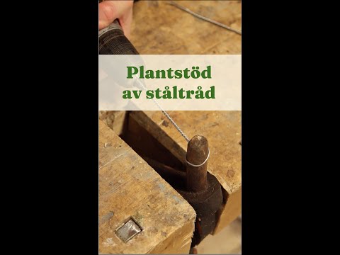 Plantstöd av ståltråd - Trädgårdshacks med GardenR