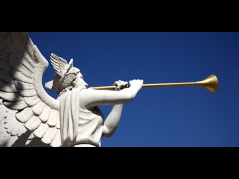 園芸 裁きのラッパ、天使のラッパ、ダチュラ