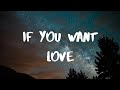 NF- If You Want Love Lyrics