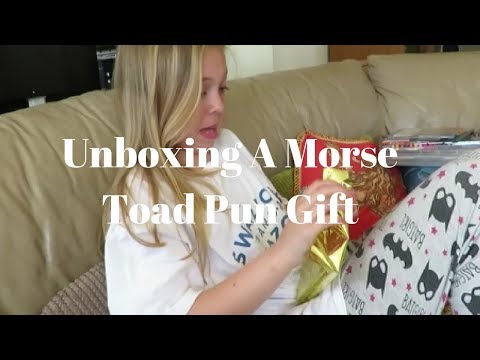 Opening Morse Toad Pun Gift