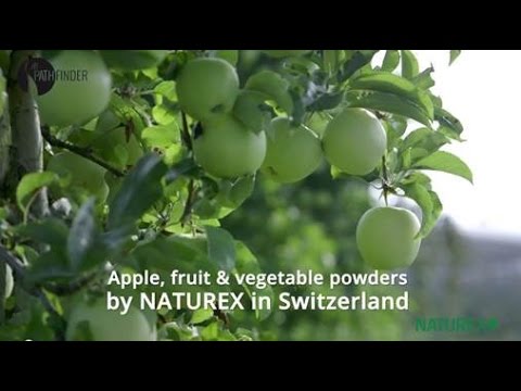 download lagu mp3 mp4 Switzerland Fruits Vegetables, download lagu Switzerland Fruits Vegetables gratis, unduh video klip Switzerland Fruits Vegetables