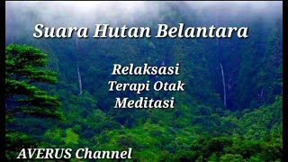 Download lagu Wild forest sound mp3