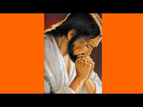 Père Tchonang: "Nos Rondes sont déjà prêtes en Jésus:  Allons les chercher!" Radio D. V. du 28/01/21